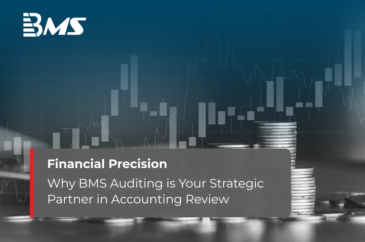 Ensuring Financial Precision and Compliance: Why BMS Auditing is Your Strategic Partner in Accounting Review