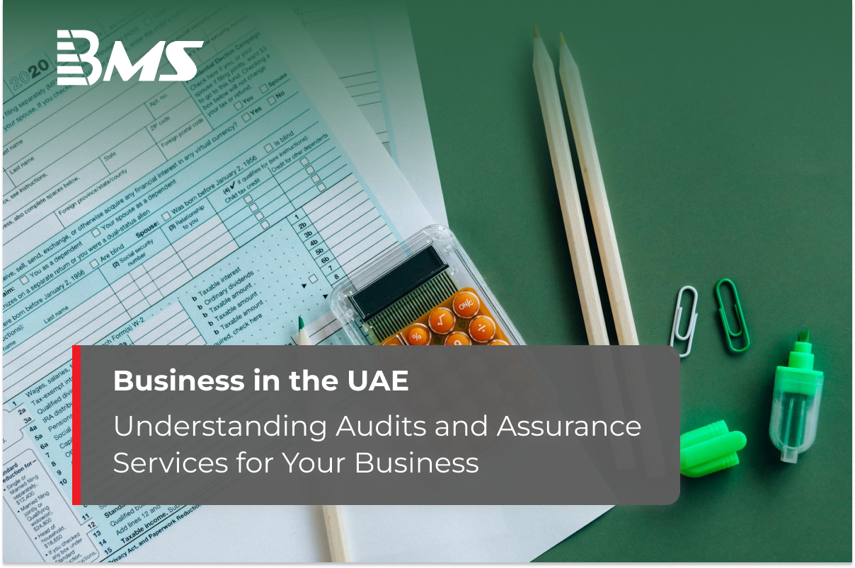 Understanding Audits and Assurance Services for Your Business 