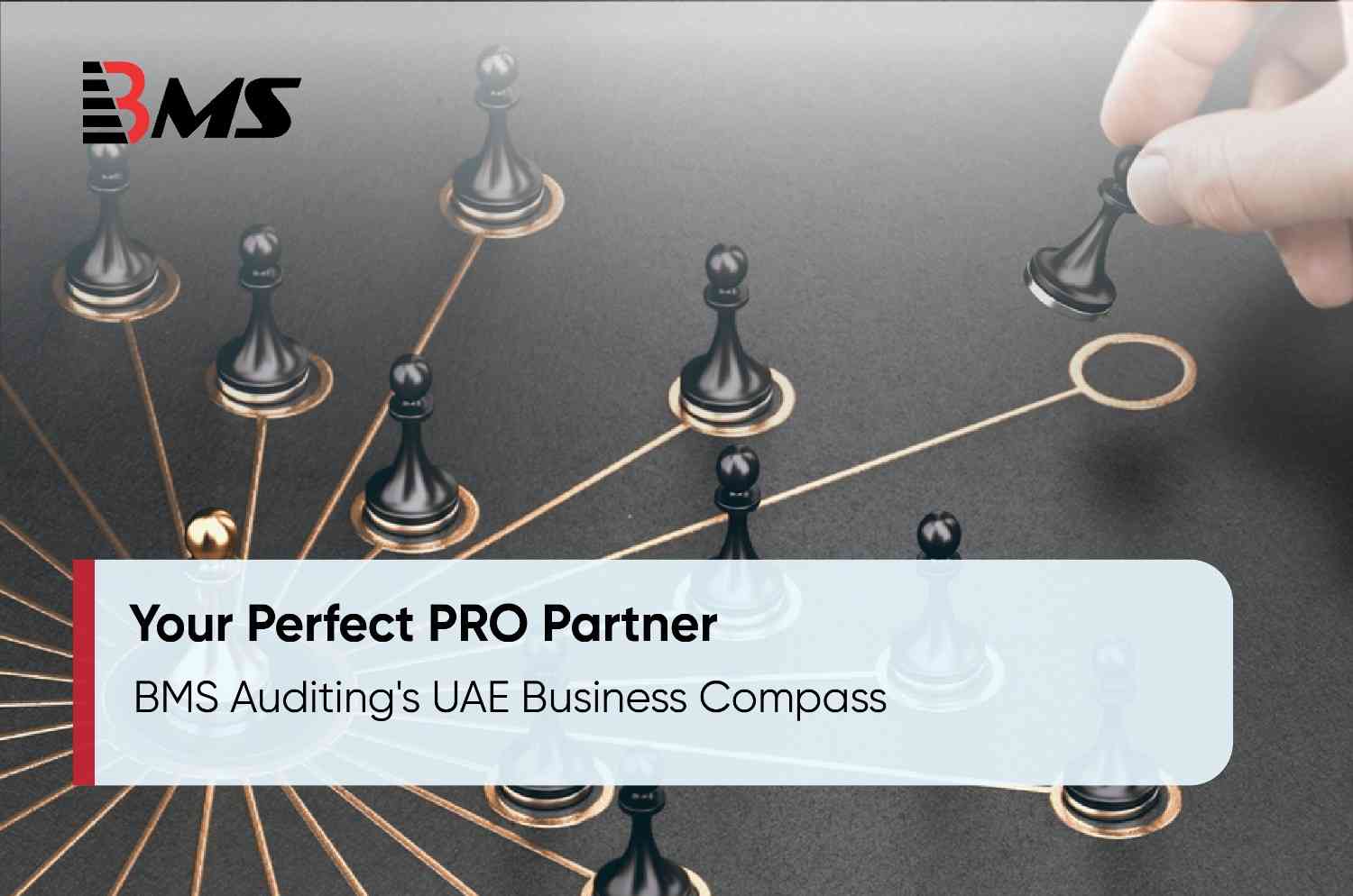 BMS Auditing: Your Perfect PRO Partner